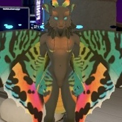 Dragonbo1