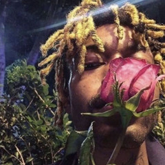 🍃