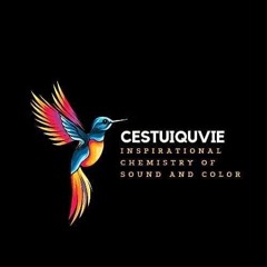 CestuiQuVie