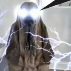 random fool (1# Polaroid fan)