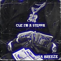 23 Breeze