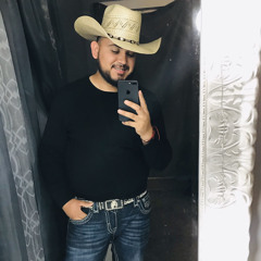 Diego alexis Aviña🌵🇺🇸🇲🇽🐂