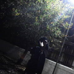 bloodrip