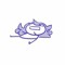 JAYCEPENNY _6