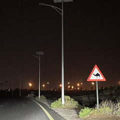 ٣