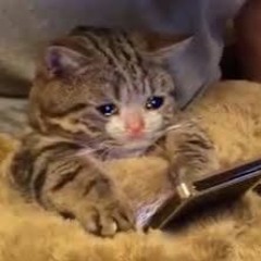 9210