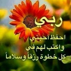 Salsabeel Hany