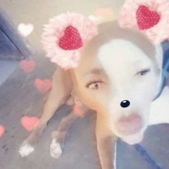 うずまきズラタ