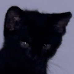 Sam nie wiem kim jestem