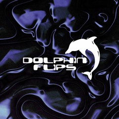 Dolphin Flips Records