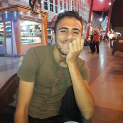 Mohamed Shehata