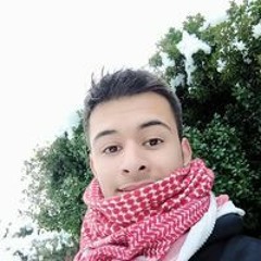 Amr Safwan Al Qudah