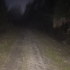 SNIPPETNOLO