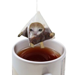☆♡˖kittyTeaBag˖⁠♡☆🍉