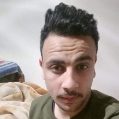 Mohamed Saad Sherif