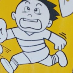 Shin811
