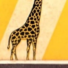 nossa senhora do safari