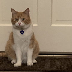 Donald William Fairchilds