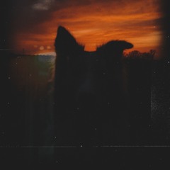 The HalfBlind Dog - Lurking In The Dark