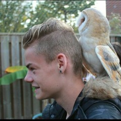 Daan.0492
