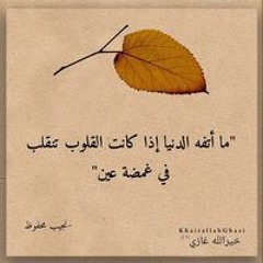 Aya Ibrahim