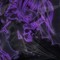 .:: Yves Misa Ghost ::.