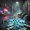 ViCODiN