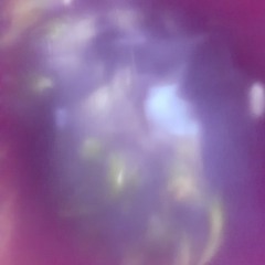 one eighty by summer