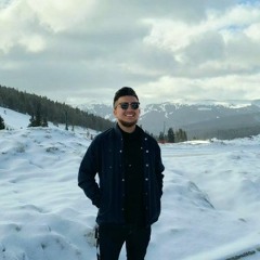 Robizzy