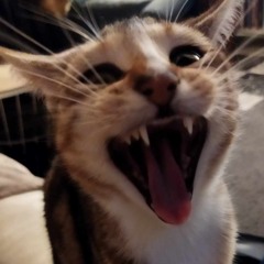 サムエル