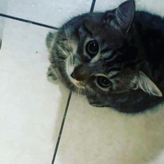 eckito
