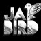 Jabird