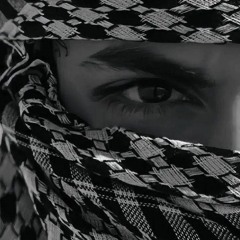 abo elsayed