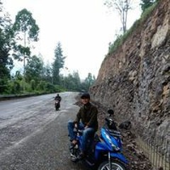 Dafit