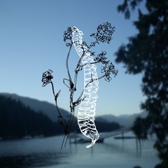 frayspine