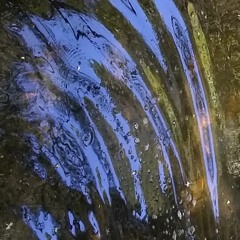 MellowDee Prototype X