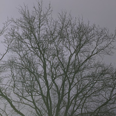 Molly_River3