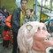 Agus Saba Ginting
