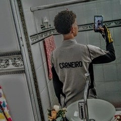 Carneiro
