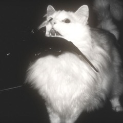 Olka
