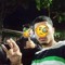 Leonardo Dias Soares
