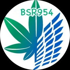 BSR954
