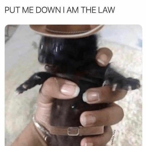 Stream Dimmer music Listen to songs, albums, playlists for free on