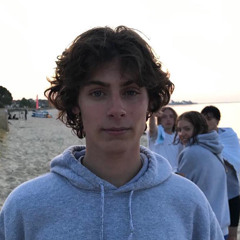 Noé Desmi