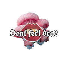 Dontfeeldead 𖤐