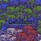 Quail