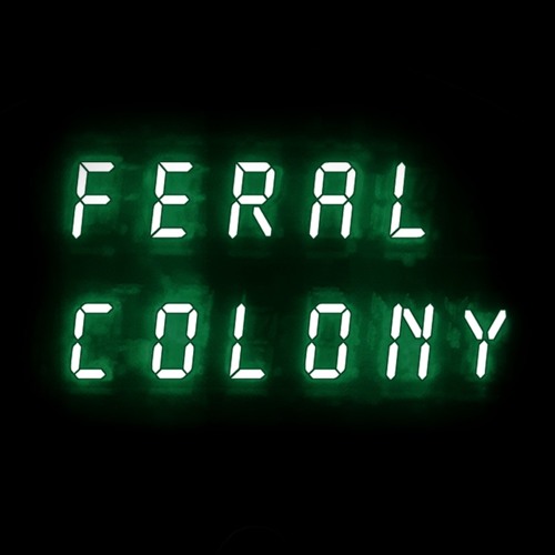 Feral Colony’s avatar