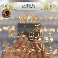 محمد صبحى