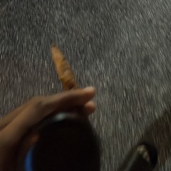 Penny Pincher