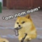 DogButWhole